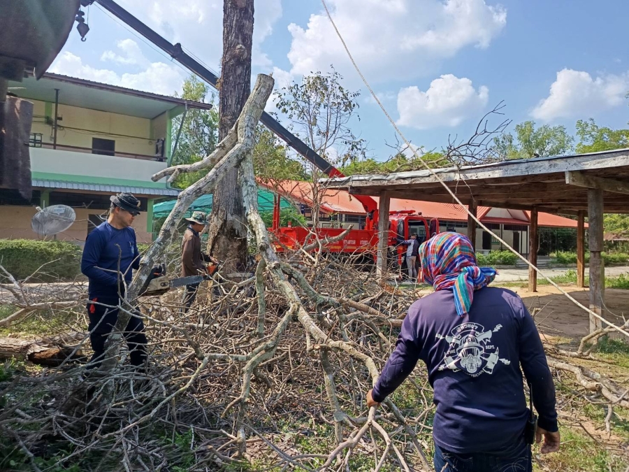 วันอังคารที่ 17 มีนาคม 2569 สิบเอกปิยวัฒน์ วริสาร นักป้องกันและบรรเทาสาธารณภัยชำนาญการ พร้อมเจ้าหน้าที่องค์การบริหารส่วนตำบลห้วยข่า ออกปฏิบัติหน้าที่ตัดต้นไม้/กิ่งไม้เพื่อปรับปรุงภูมิทัศน์และเพื่อความปลอดภัยของคณะครูและนักเรียนในโรงเรียน